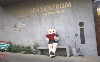 🐻 Help, die Taalmonument se oulike 50ste Beer kort ‘n naam! 🎉